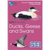 Marianne Taylor RSPB ID Spotlight - Ducks, Geese and Swans (Mixed Media Product)