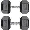 TLGREEN manubri esSet di 2 Manubri da 10/15/20/25/30 kg Esagonali, Coppia di Pesi per Palestra con Presa Antiscivolo e Rivestimento in Gomma (2 x 10 kg - Nero)