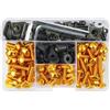 SHYYBD Viti Per Carene Moto Per Per CBR600RR Per CBR1000F Per CBR 600 900 929 954 1000 RR Per CBR600 F F2 F3 F4 F4i Viti Per Carrozzeria Dadi Viti(Oro)