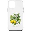 The Botany Bureau Custodia per iPhone 12 mini Meyer Illustrazione della pianta di limone Citrus × meyeri