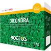 Bottos Seme Dichondra Repens 1 Kg - Bottos - Bottos