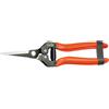 Stocker Forbice Speciale Vendemmia 19 Cm - Stocker
