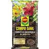 Compo Terriccio Compo Sana Universale 10 Lt - Compo