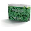 Bottos Seme Trifoglio Repens Nano 500 Gr - Bottos