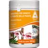 Kollant Mastice Arbokol Classic 500 Gr - Kollant
