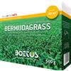 Bottos Seme Bermudagrass 500 Gr - Bottos