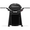 Weber Q3200N+