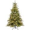 Lotti Importex Albero Natale Alpino Preilluminato H210cm PVC+PE 500 Led BIANCO CALDO - Lotti Importex