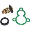 CloudburstVoltix Termostato con Guarnizione 4-STR F4A F4B F5A F6C Motore fuoribordo 66M-12411-01