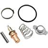 BUDZAVHIC 892864A06 Kit termostato 122°F 50°C per Motori M-rcury 75 80 90 100 115 135 150 HP sostituisce 892864T06 18-3635 Motori