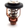 BUDZAVHIC 6CE-12411-00 Termostato 60°C per Ymh F225F F250D F300B FX-Ho FX140 FZR FZS FX-SHO AR192 SX192 FX1100 Jet FZ1000A FX1000