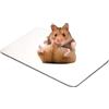 Mikiuly Tappetino Raffreddamento per Coniglio, Pad di Raffreddamento del Coniglio, Tappetino di Raffreddamento per Criceti, Pad per Cincillà, Criceto, Porcellino d'India e Altri Piccoli Animali, 20x14cm