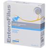DRN ENTEROFILUS (12 fiale per 10 ml) - Stimola la digestione di cani e gatti