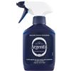 Argentil Silver Polish Lucida Argento Ad Azione Immediata Spray 150ml