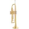 Roy Benson Tromba - Tromba In Sib Roy Benson Tr-101 - Tr-101