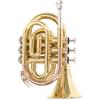 Roy Benson Tromba - Tromba Pocket In Sib Roy Benson Pt-101 - Pt-101