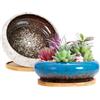 ARTKETTY 2 Pack di vasi per piante grasse, grandi vasi per piante di cactus con vassoio di drenaggio, vaso bonsai in ceramica per interni per il giardino e la casa