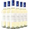 Tenuta Sant'Antonio Trevenezie IGT Garganega Chardonnay Scaia 2025 Box da 6 bottiglie