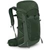 OSPREY TALON 33 zaino da trekking, green canopy/pine leaf,