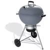 Weber Barbecue a carbone weber master-touch blu ardesia 61x72,5x90 cm