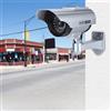 Naroote Telecamera di Sicurezza di Sorveglianza Finta Ad Energia Solare con Design Realistico per Uso Esterno in Argento (SILVER)