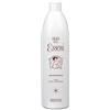 ERBORISTERIA MAGENTINA OLIO DEGLI ESSENI 500ML