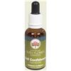 GREEN REMEDIES AUTOSTIMA 30ML AUSTRALIAN