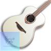 CHITARRE LAG LAG GUITARS T70A-NAT Chitarra acustica