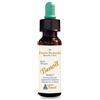 ALCHIMIA BENOIT Srl PENTA REMEDY BENOIT 10ML