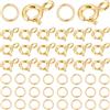 Beebeecraft 50 Set di Fermagli per Collane A Molla Chiusura A Moschettone Rotonda Placcata Oro 14K Chiusura A Molla con Anelli di Congiunzione Aperti per Braccialetti Creazione di Gioielli Fai da Te.