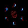 Ghost Horse Live at Area Sismica 26 January 2020 (Vinyl LP)