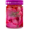 La Giardiniera di Morgan - Cipolle Viola con Capperi - 310ml