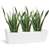 KLORIS Vaso Moderno Basso Fioriera Rettangolare mod DECO Cassetta Balcone e Giardino cm 69x29 altezza 19 cm MADE IN ITALY leggero e resistente colore Bianco