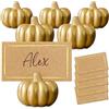 Kate Aspen 25284NA Décor - Decorazione rustica da tavola, motivo zucca, resina, oro
