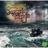 Aaron Rudolph The Unsolved Mystery of the Bermuda Triangle (Tascabile)