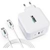 Urban Factory Caricatore da parete + cavo USB C Urban Factory GSC10UF Bianco