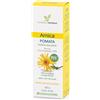 FARMADERBE ARNICA POMATA 100ML