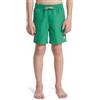 Quiksilver Pantaloncini da Bagno Everyday Volley Yth 14 Ragazzo Verde