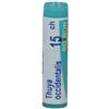 Boiron Thuya Occidentalis Globuli Omeopatici Monodose 15CH, 1g