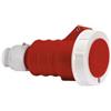 Bals Accoppiamento BALS CEE 5x16A 400V 31243 6h IP67