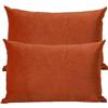 ZZDZW Lusso Cuscino Copre Caso Federa Cuscino 50x70 40x70 60x80 cm Copricuscino Per Divano con Cerniera Federe in Velluto per divano letto arredamento set di due Copricuscini(#22,50x70 cm set of 2)