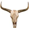 Generic Grande Testa di Toro Animale da Appendere Alla Parete Decorazione In Resina Teschio di Mucca Scultura 3d per Casa Rustica Halloween Creativo(H-68 * 64cm/26 * 25in)
