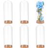 BENECREAT 6 Barattolo Decorativo A Cupola, Campana di Vetro con Campana In Vetro Cloche Da 4.7x12cm con Base In Sughero per Riporre Fiori, Esemplari, Decorazioni Artigianali