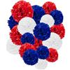 Capesaro rosso bianco e blu Tissue carta Pom Poms, 15 pezzi di carta velina fiori per o 4 luglio patriottica graduazione compleanno matrimonio nautico baseball tema festa decorazione