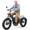 Generic Triciclo elettrico a 3 ruote per adulti, pneumatici larghi da 24 pollici con pedalata assistita, capacità di carico di 200 kg, cestino portaoggetti e faro anteriore, comodo per la città e la