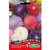 Germisem Giant Princess Mix Semi di Aster Cinesi 1 g