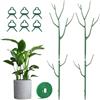 Adiwo 4 Pezzi Supporto per Piante Metallo a Forma di Ramo, 6 Fibbie + 2m Nastro Verde, Pali di Sostegno per Gabbi Pomodori Rose, Adatti per Casa e Giardino (11 pezzi)