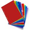 Yoosso 12 Divisori A4 Colorati Per Raccoglitore Ad Anelli, 29,5 x 20,8 Cm