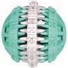 TRIXIE 32942 Denta Fun Ball Menta Fresca Gomma Naturale 7 Centimetri