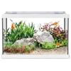 AQPET One Mini Acquario in vetro Bianco 20 litri - acquario completo con filtro interno, sabbia, pianta decorativa e sfondo - design elegante 36x22x26 cm, ideale per principianti